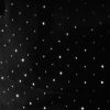 RHINESTONE BLACK